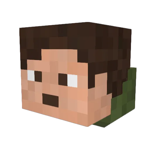 _RedNovember Minecraft avatar head, 3D render