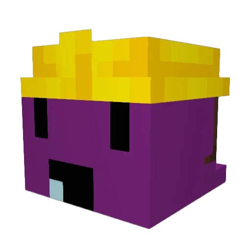_Reigns Minecraft avatar head, 3D render