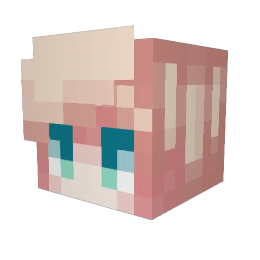 _RellweTeq_ Minecraft avatar head, 3D render