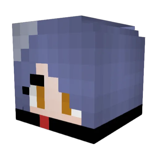 _Reus11 Minecraft avatar head, 3D render