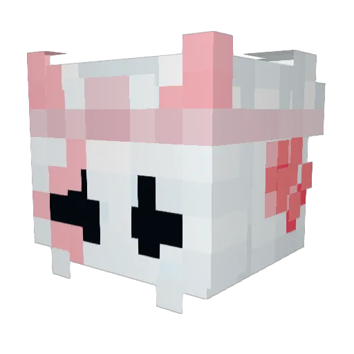 _Rice0_0 Minecraft avatar head, 3D render