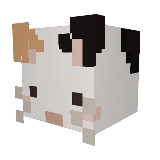 _Rice_bowl_ Minecraft avatar head, 3D render