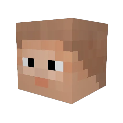 _Rig_ Minecraft avatar head, 3D render