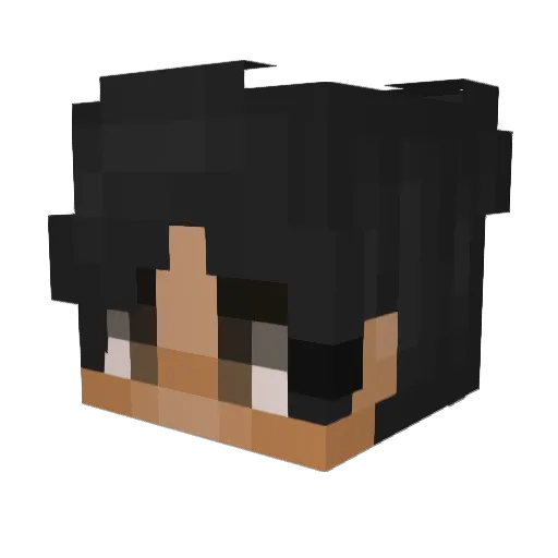 _RightDeNoir_ Minecraft avatar head, 3D render