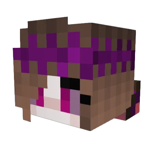 _RinaWatergren Minecraft avatar head, 3D render