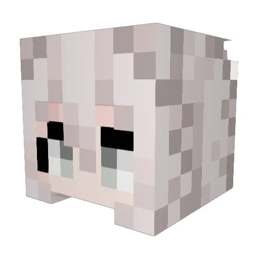 _Rinkoy_ Minecraft avatar head, 3D render