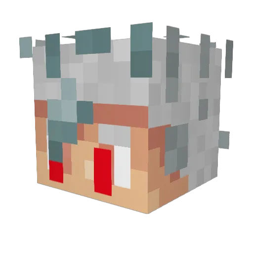 _RioX_ Minecraft avatar head, 3D render