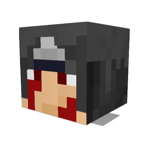 _RiskyBiscuits_ Minecraft avatar head, 3D render