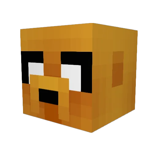 _RitZer999 Minecraft avatar head, 3D render