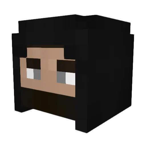 _Ritterbruder_ Minecraft avatar head, 3D render