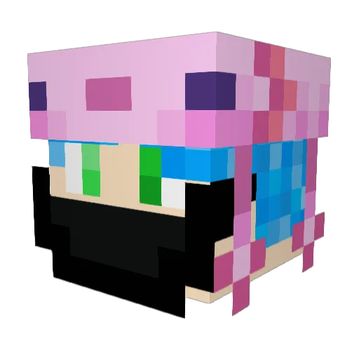 _Roamzy_ Minecraft avatar head, 3D render