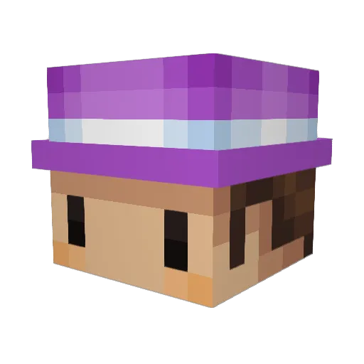 _Robbin Minecraft avatar head, 3D render