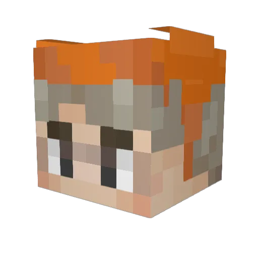 _Robiin Minecraft avatar head, 3D render