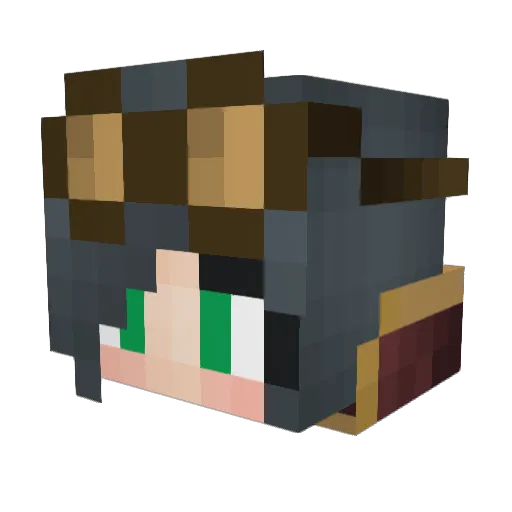 _Robiin_ Minecraft avatar head, 3D render