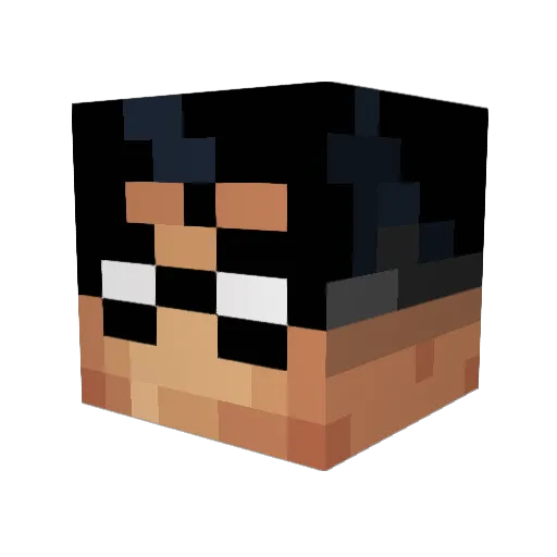 _Robin_Infinity_ Minecraft avatar head, 3D render