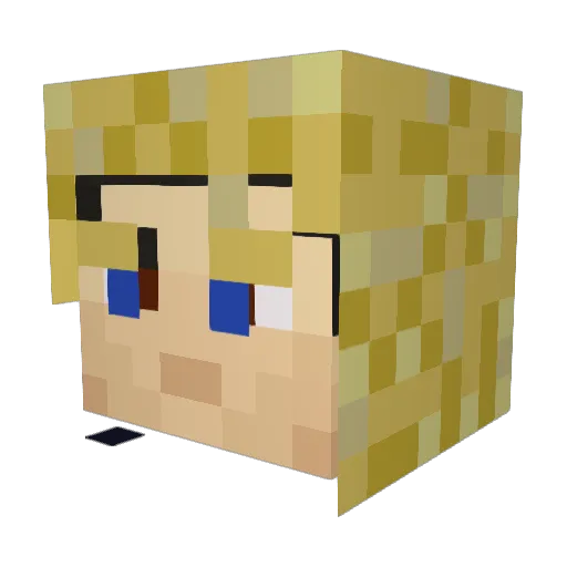 _Robins_ Minecraft avatar head, 3D render