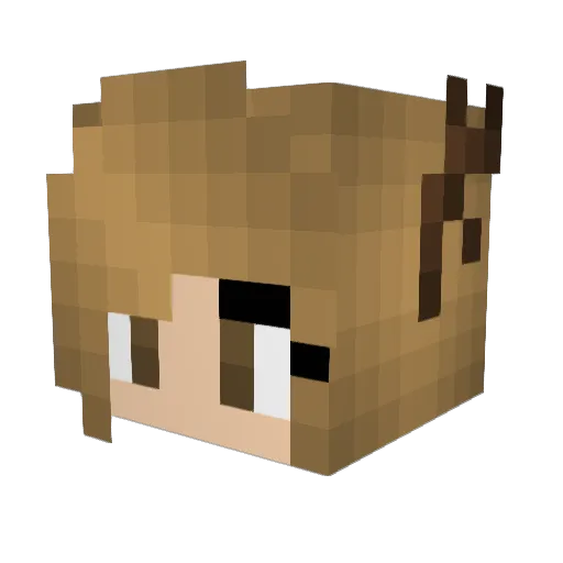 _Rockyy Minecraft avatar head, 3D render