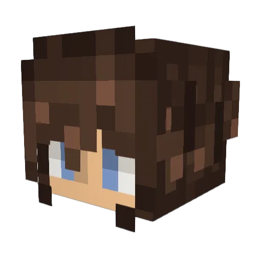 _Rogan Minecraft avatar head, 3D render