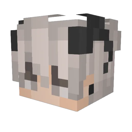 _Rojorin_ Minecraft avatar head, 3D render