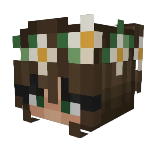 _Rola_ Minecraft avatar head, 3D render