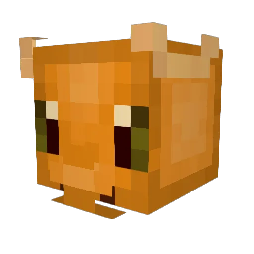 _RooNi_ Minecraft avatar head, 3D render