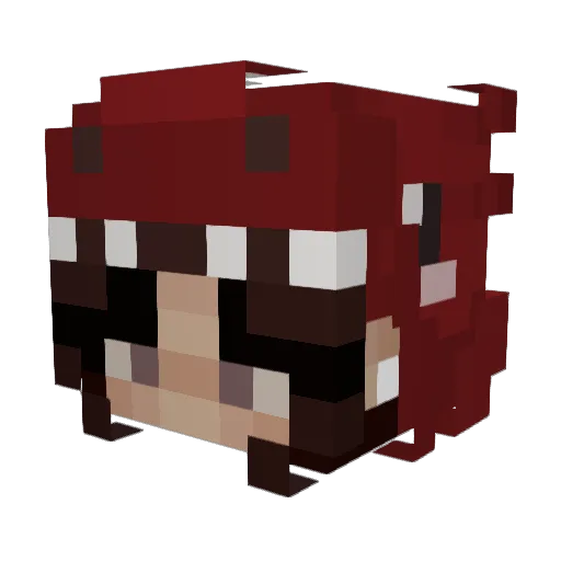 _RosaLeia Minecraft avatar head, 3D render
