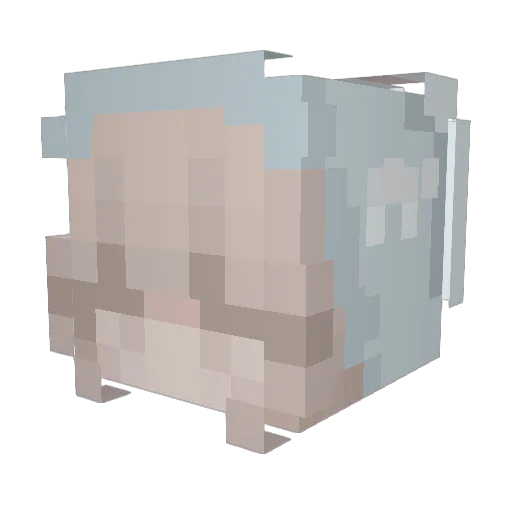 _Rosiee_ Minecraft avatar head, 3D render