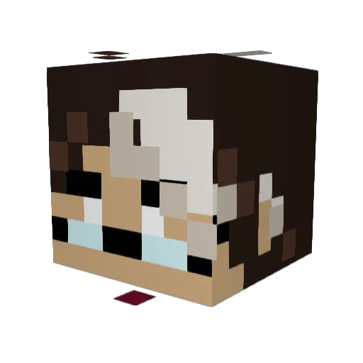 _Rosss Minecraft avatar head, 3D render