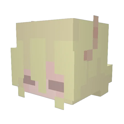 _Roxanna_ Minecraft avatar head, 3D render