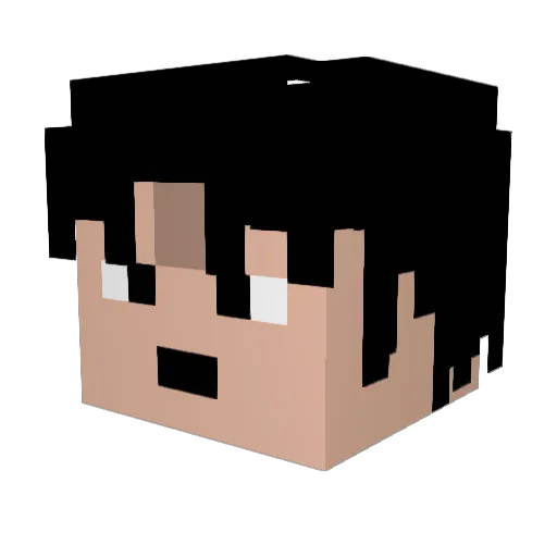 _Roxas_ Minecraft avatar head, 3D render