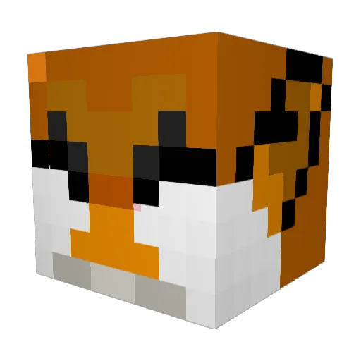 _Rudas__ Minecraft avatar head, 3D render