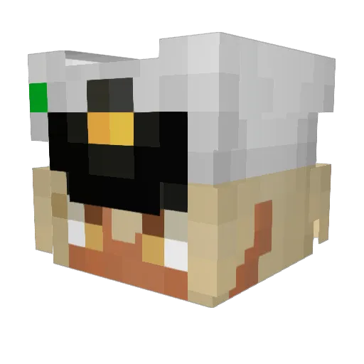 _Rulerr Minecraft avatar head, 3D render
