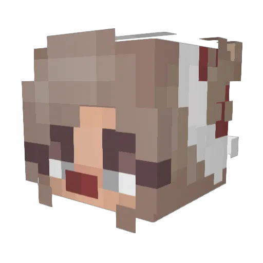 _Rushi_ Minecraft avatar head, 3D render