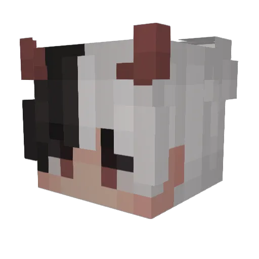 _Ruxt_ Minecraft avatar head, 3D render