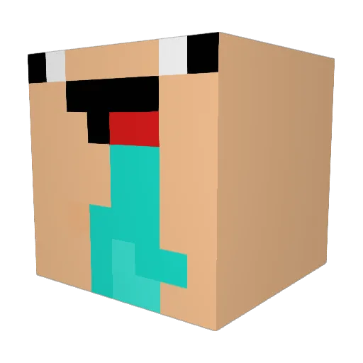 _RuyDon_ Minecraft avatar head, 3D render