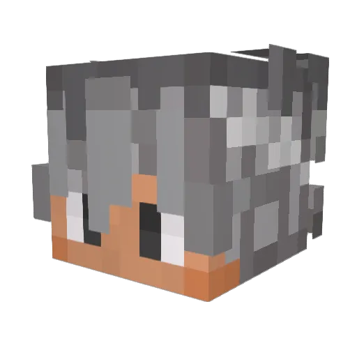 _Ruzgar Minecraft avatar head, 3D render