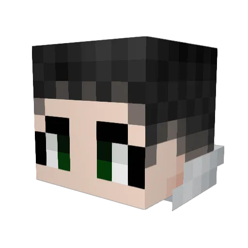 _Ryu2 Minecraft avatar head, 3D render