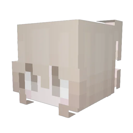 _S2_S2_ Minecraft avatar head, 3D render