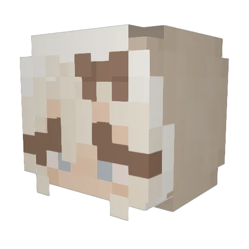 _S3NN4_ Minecraft avatar head, 3D render