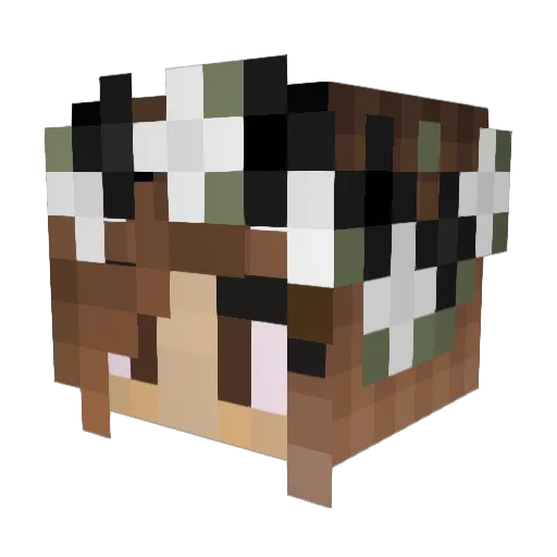 _S3r0x_ Minecraft avatar head, 3D render