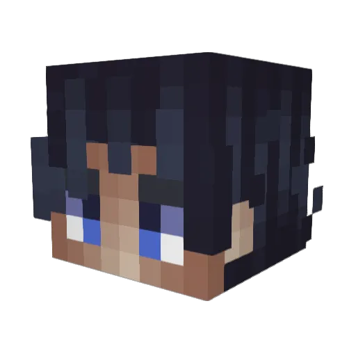 _S4um0n_ Minecraft avatar head, 3D render