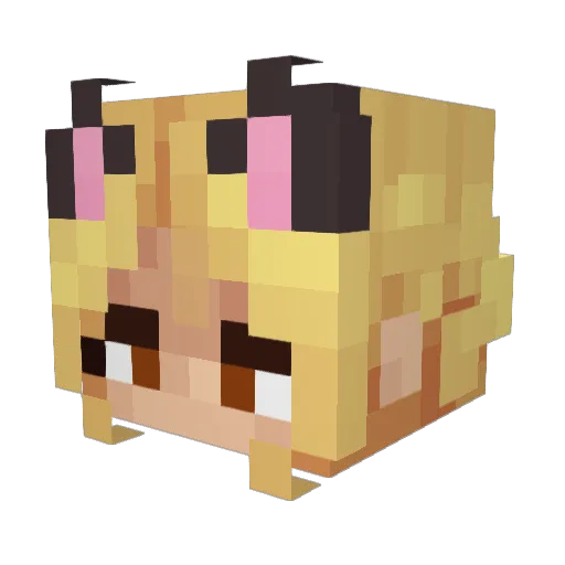 _SHZZY_ Minecraft avatar head, 3D render