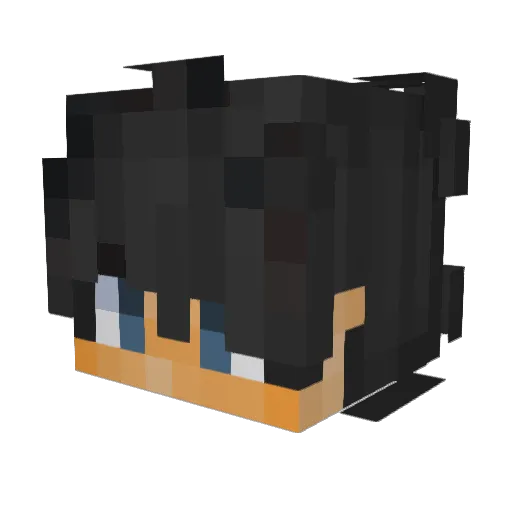 _SKYY_8 Minecraft avatar head, 3D render