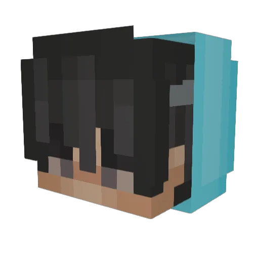 _SLH_ Minecraft avatar head, 3D render