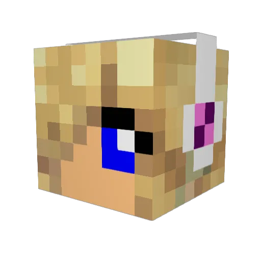 _SMS_21 Minecraft avatar head, 3D render