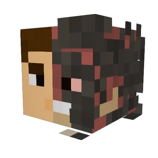 _SN1PE Minecraft avatar head, 3D render