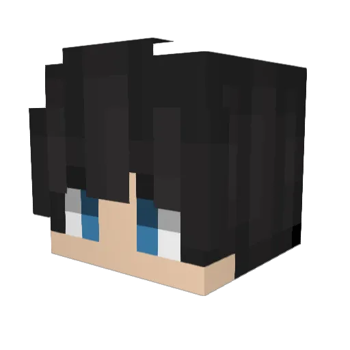 _SOAM_ Minecraft avatar head, 3D render