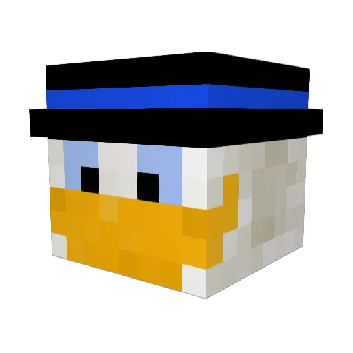 _SPL4SHY_ Minecraft avatar head, 3D render