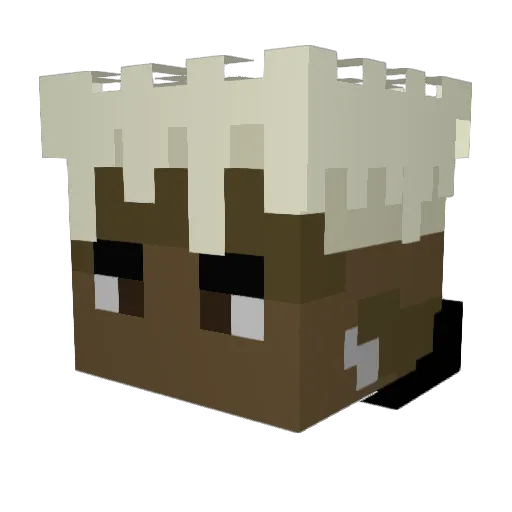 _STYX____ Minecraft avatar head, 3D render