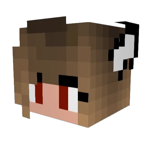 _SWAG_Cat_ Minecraft avatar head, 3D render